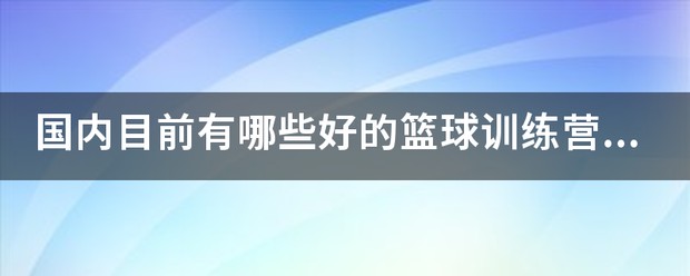 篮球训练营销售